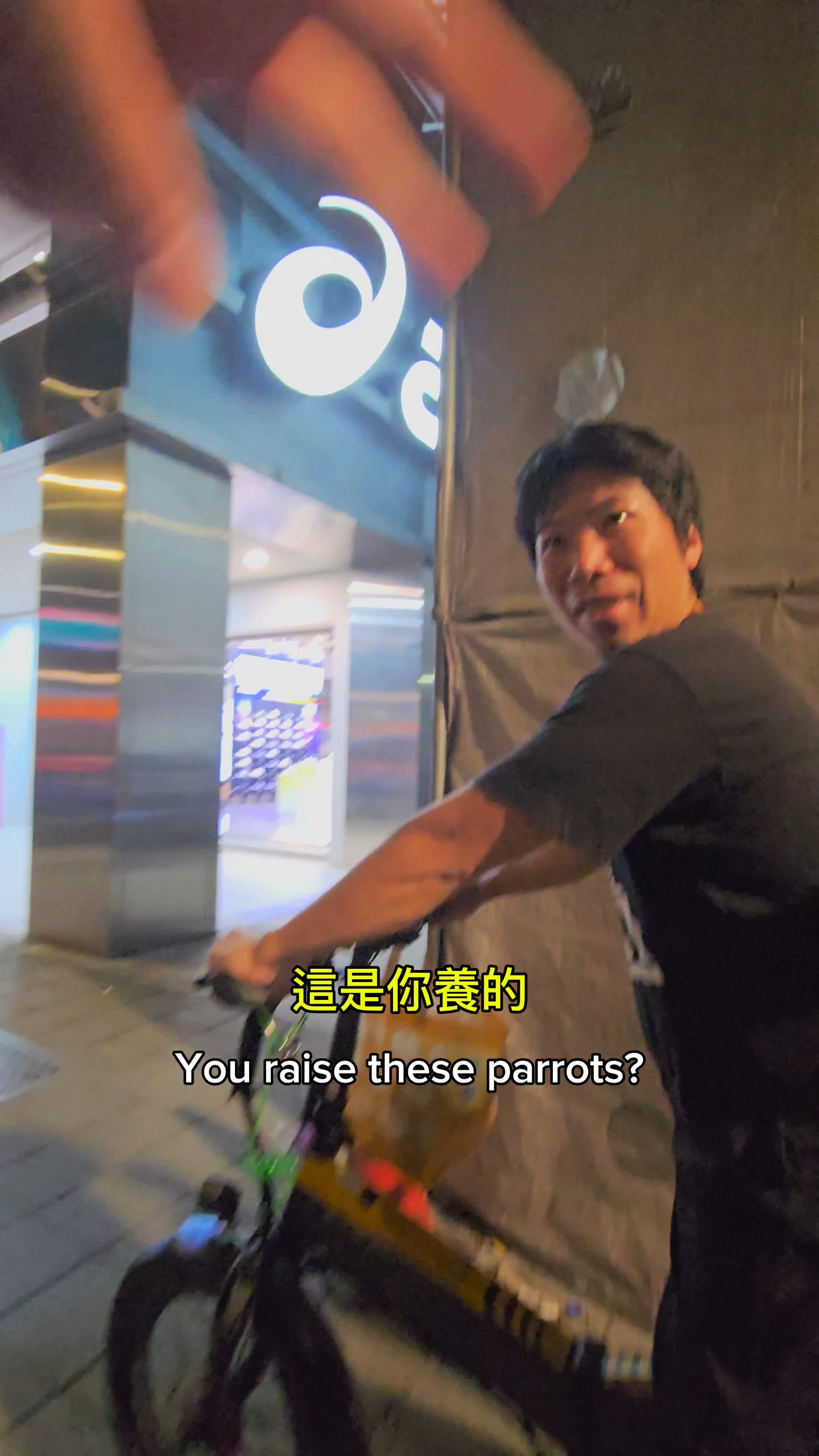 In Taiwan, parrots ride bicycles