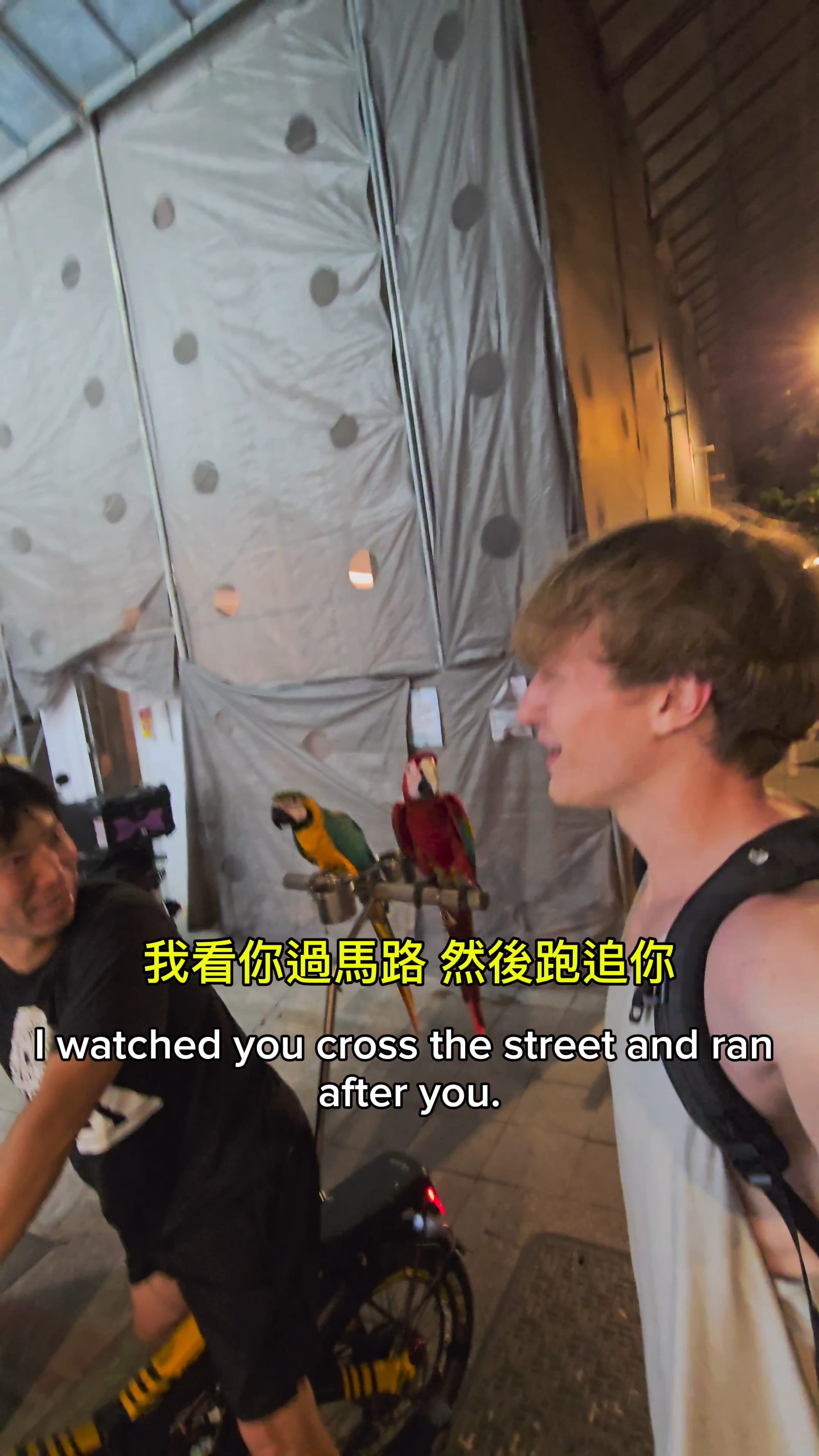 In Taiwan, parrots ride bicycles