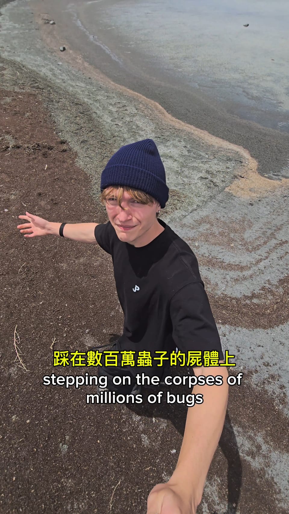 猶他州鹽湖（Great Salt Lake）擁有一億隻昆蟲屍體。